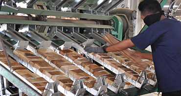 Manufacturing Sophisticated manufacturing techniques capable of producing mixed-media products.